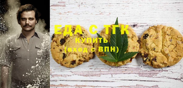 стаф Каменск-Шахтинский