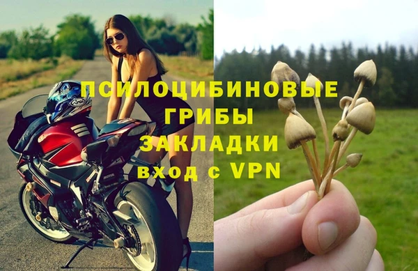 мет Каменка