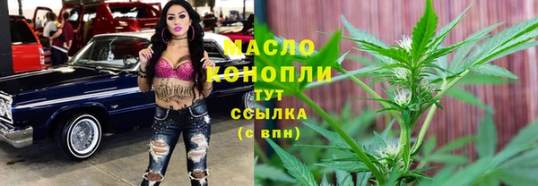 мет Каменка